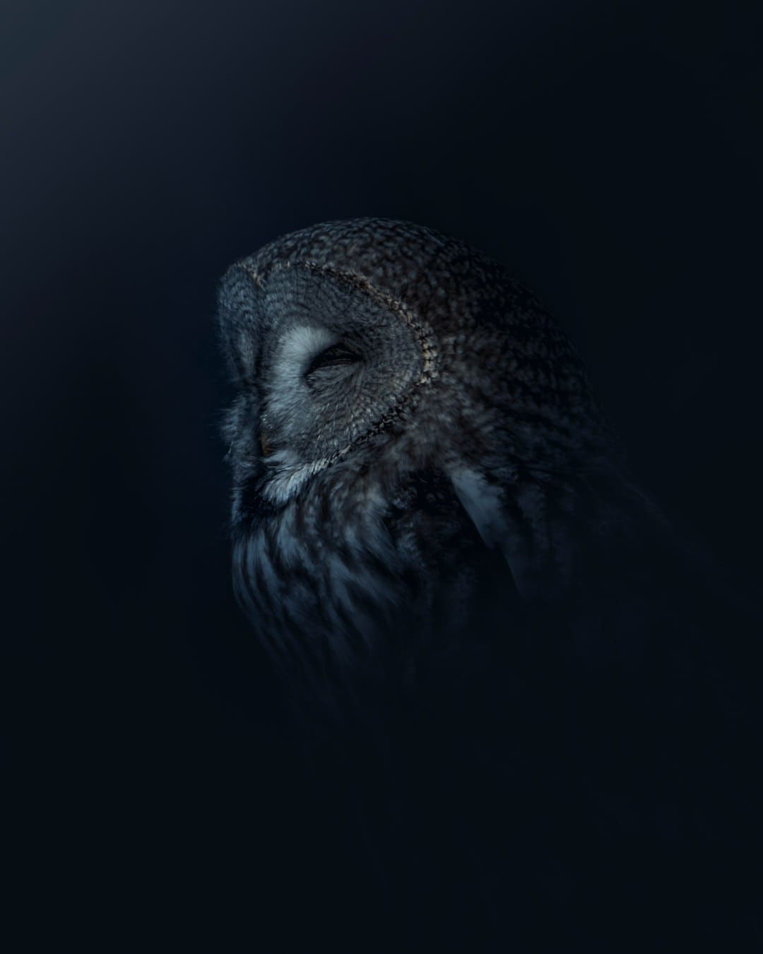http://n.sinaimg.cn/news/transform/w600h400/20180315/NySI-fyscsmv9110683.jpg?zdy